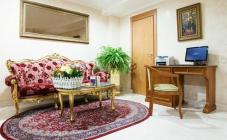 Гостиница ''Подол Плаза'' - фото (5514-28316)