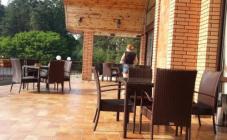 Пуща лесная - фото (6151-31304)