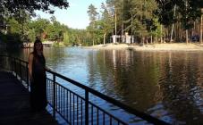 Пуща лесная - фото (6151-31310)