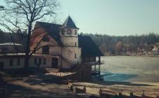 Пуща лесная - фото (6151-31311)