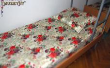 Hostel Muzeyny - фото (6466-33808)