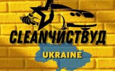 CleanЧиствуд - фото (10346-55394)