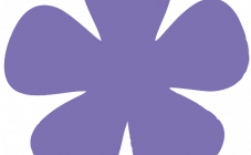 Одежда в Украине odezhda.in.ua - фото (8922-53031)