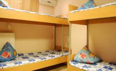 Kyiv Hostel Stanovski - фото (5981-30490)