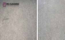 MS Cleaning  - фото (8101-51185)