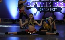 DanceFam - фото (1166-6413)