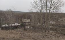 Стрельбище - фото (9232-53563)