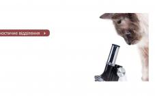 VetMed - фото (637-2407)