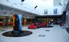 Оскар - фото (553-1880)