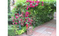 Спасо-Преображенский собор - фото (1507-8175)