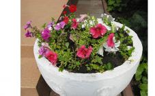 Спасо-Преображенский собор - фото (1507-8176)