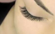 Studio L - фото (8025-50956)