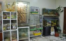 Гранд - фото (643-2437)