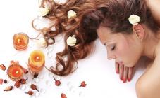 Абрикос - фото (8095-51159)