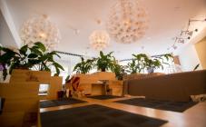 O'du Van - фото (4457-47337)