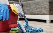 Енот  - фото (8100-51180)