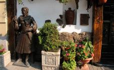 Духан Горец - фото (3540-45484)