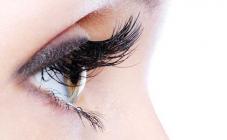  Наращивание ресниц в студии LadySpace  - фото (1248-6912)