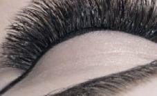 Vivienne  - фото (8024-50951)