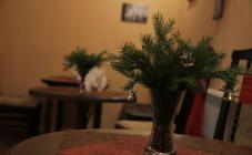 Datis - фото (4641-46726)