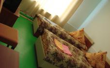 Adel - фото (6066-43760)