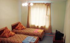 Adel - фото (6066-43761)