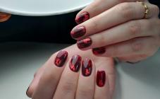 Trofimova Nails Studio - фото (8412-52073)