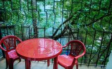 Golden Globus Hostel - фото (6498-43897)