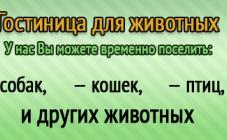 Ветпланета - фото (703-2849)