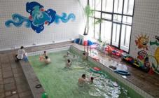 Спорткомплекс Наука  - фото (684-2696)