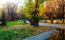 Саржин Яр - фото (8225-51543)