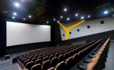 Оскар - фото (553-1881)