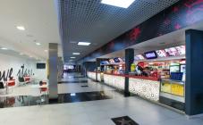 Оскар - фото (553-1882)