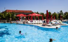 Мыс доброй Надежды - фото (559-1917)