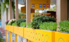 Кафе Борщ - фото (3957-39968)