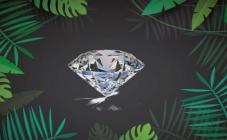 Сеть квест-комнат Корпорация Квестов - фото (884-3952)