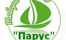 Магазин "Парус" - фото (10084-54766)