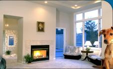 Гостиница для животных «Виктория» - фото (801-3435)