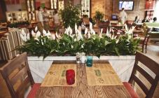 Руккола - фото (4421-39853)