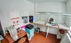 Альфа - фото (639-2418)