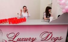 Luxury Dogs - фото (810-3476)