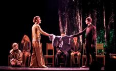 Театр 19 - фото (8217-51513)