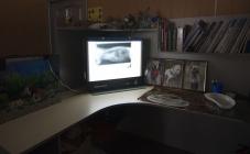 StatusVet - фото (636-2401)