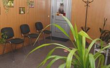 StatusVet - фото (636-2402)