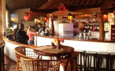 Прімавера - фото (5106-39552)