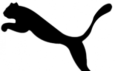 Puma - фото (686-2707)