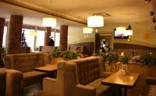 Чайник - фото (3951-46162)