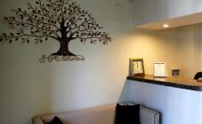 Hostel Non-Stop - фото (6461-44044)