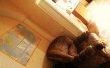 5 Doors - фото (6656-44999)