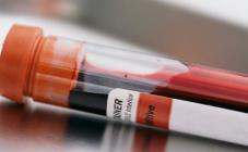 Борис - фото (916-4169)